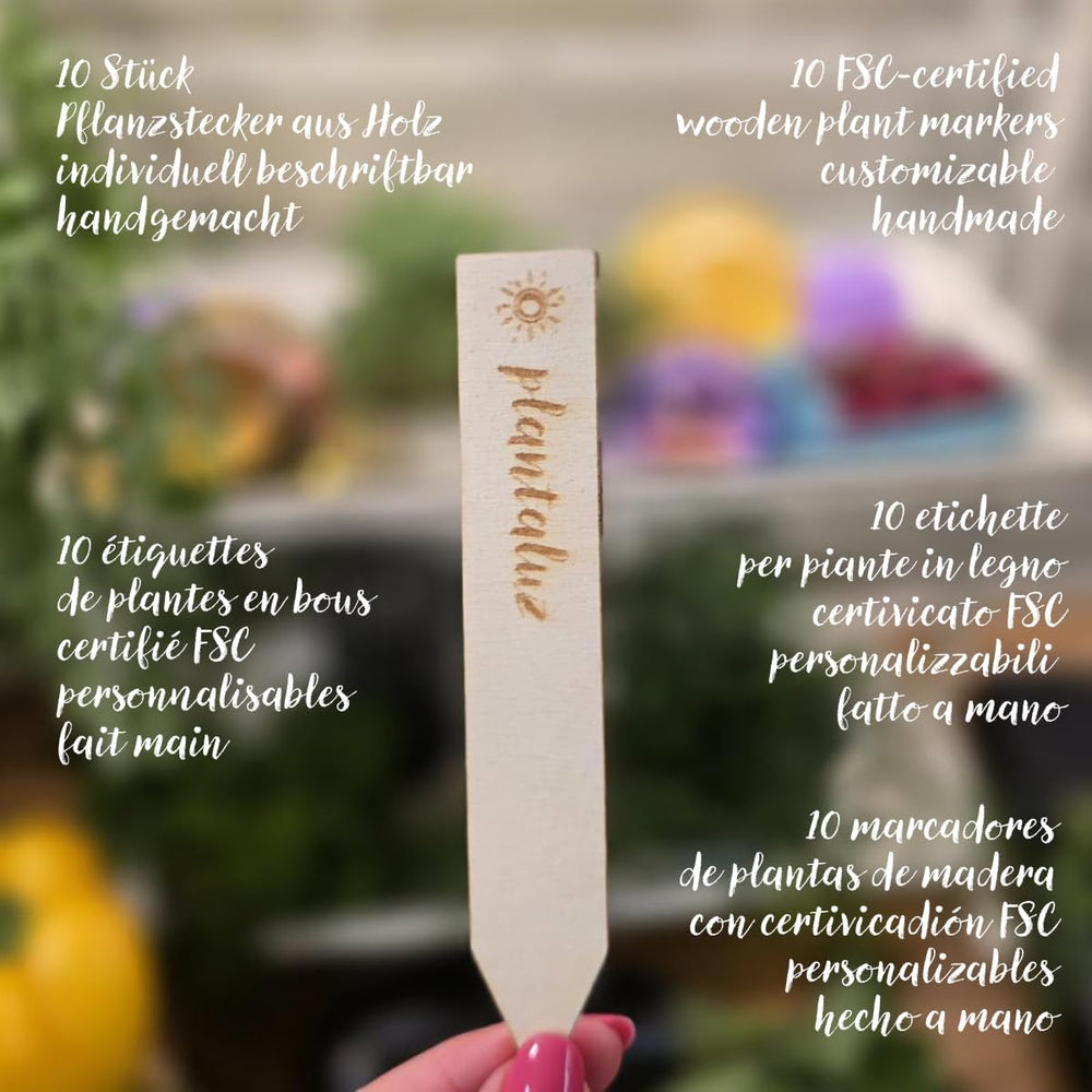 Set de semințe premium organice Plantaluz P04 – Set de semințe mediteraneene pentru legume și plante aromatice cu 10 soiuri pentru grădină, balcon și straturi înalte – incl. bețe de plantare FSC – Semințe organice cu polenizare liberă și fără OMG