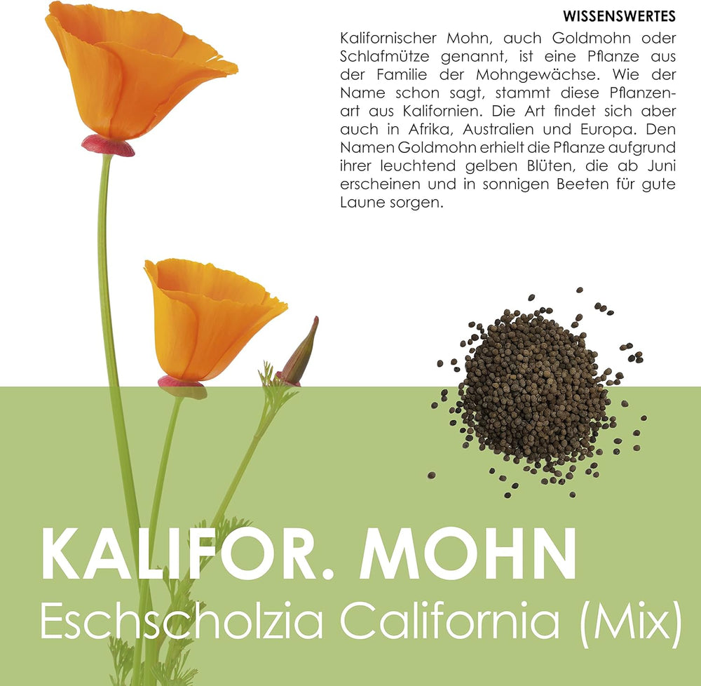 Amestec de semințe de mac californian (Eschscholzia californica) - Maci cu înflorire frumoasă, cu o perioadă lungă de înflorire, pentru o pajiște cu flori colorate (Mac californian)