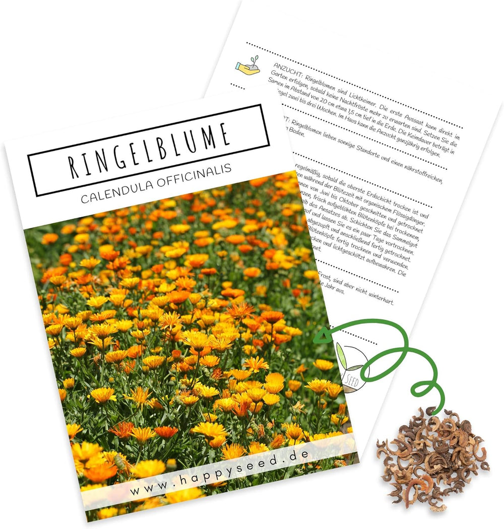 Semințe de gălbenele (Calendula officinalis) - Plantă medicinală versatilă cu flori comestibile și ideală pentru o pajiște cu flori colorate (Abendrot)
