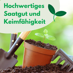 Semințe Cosmos Sensation Mix 1g, Mix Cosmos Flori de vară, Plante de grădină Plante de balcon, Semințe de flori