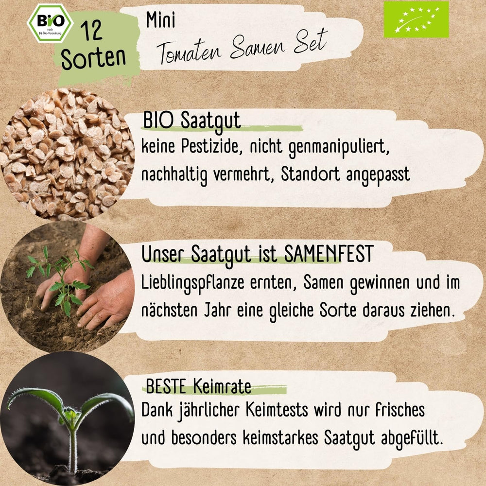 Set de semințe de roșii mini organice: 12 soiuri de roșii cultivate liber | Semințe de roșii cu roșii cocktail rare și de familie, cherry și beefsteak | Semințe de legume pentru balcon, pat înălțat, grădină și cadou | Loveplants