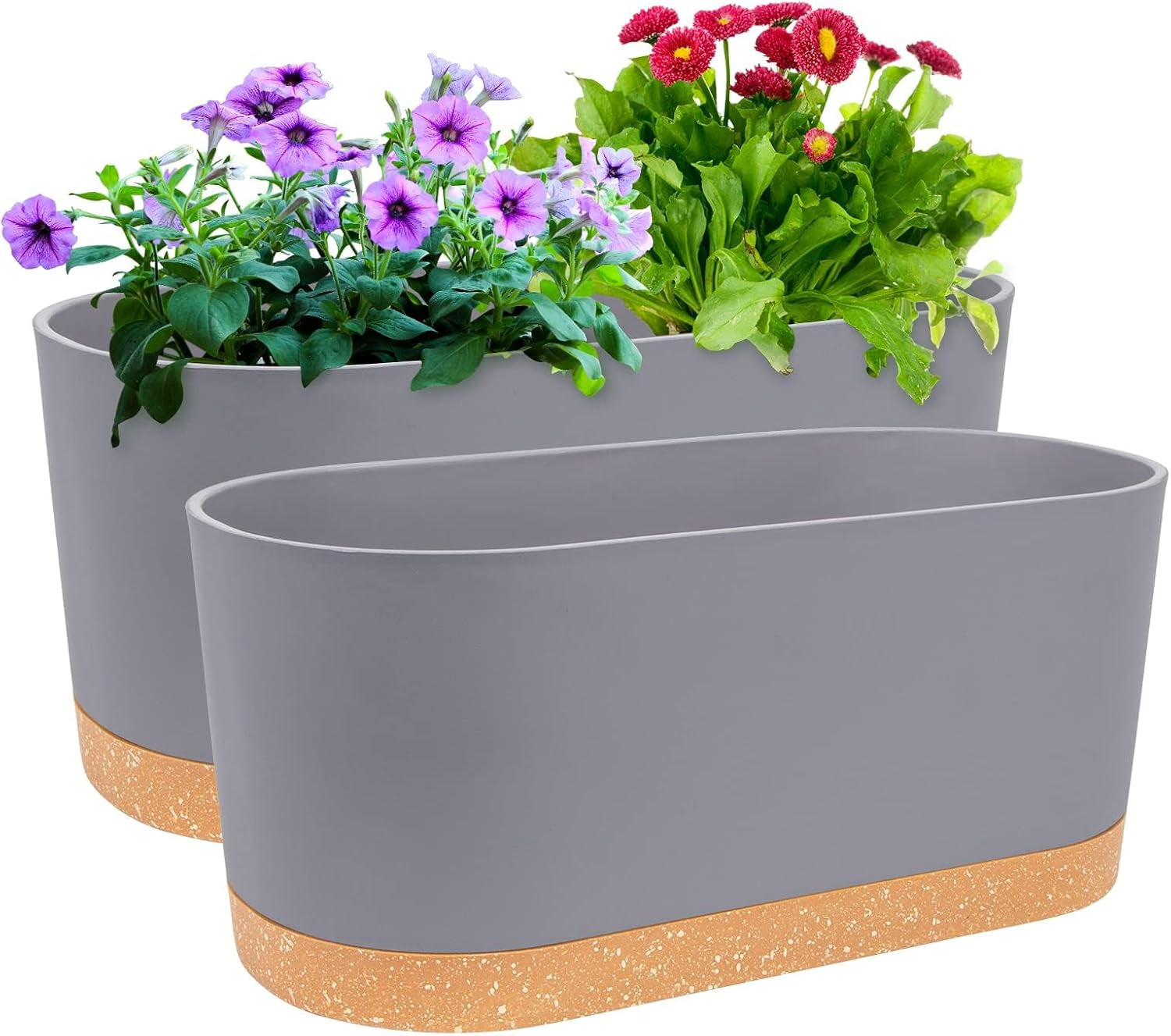 Ghiveci de flori set de 2 12,7 cm, ghivece pentru plante de interior cu găuri de drenaj și bază detașabilă, farfurioare decorative moderne pentru jardiniere de grădină de exterior (alb 12,7 cm)