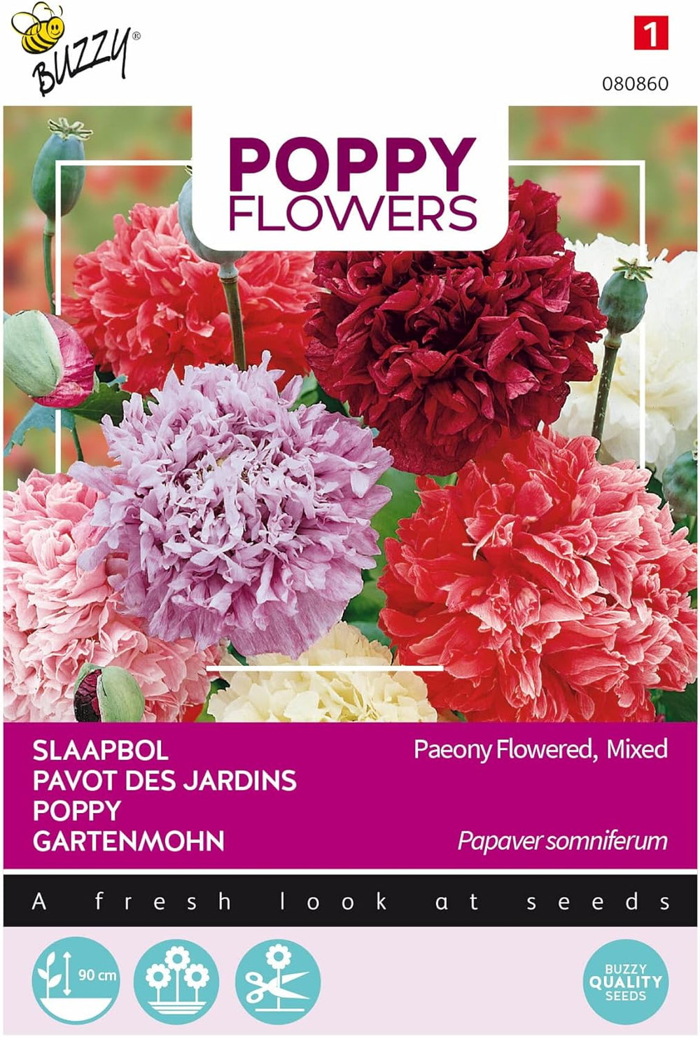 Flori de Mac Buzzy Mac Paeoniflorum Gef. Mix.