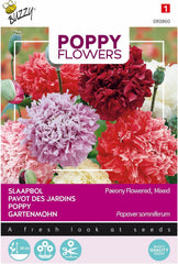 Flori de Mac Buzzy Mac Paeoniflorum Gef. Mix.