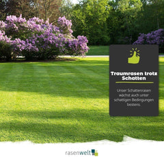 ARENA Rasensamen Sun and Shade 5Kg | Premium Grassamen Für Sonne, Schatten & Trockenlagen – Trockenrasen & Schattenrasen Geeignet – Hitzeverträglich & Pflegeleicht