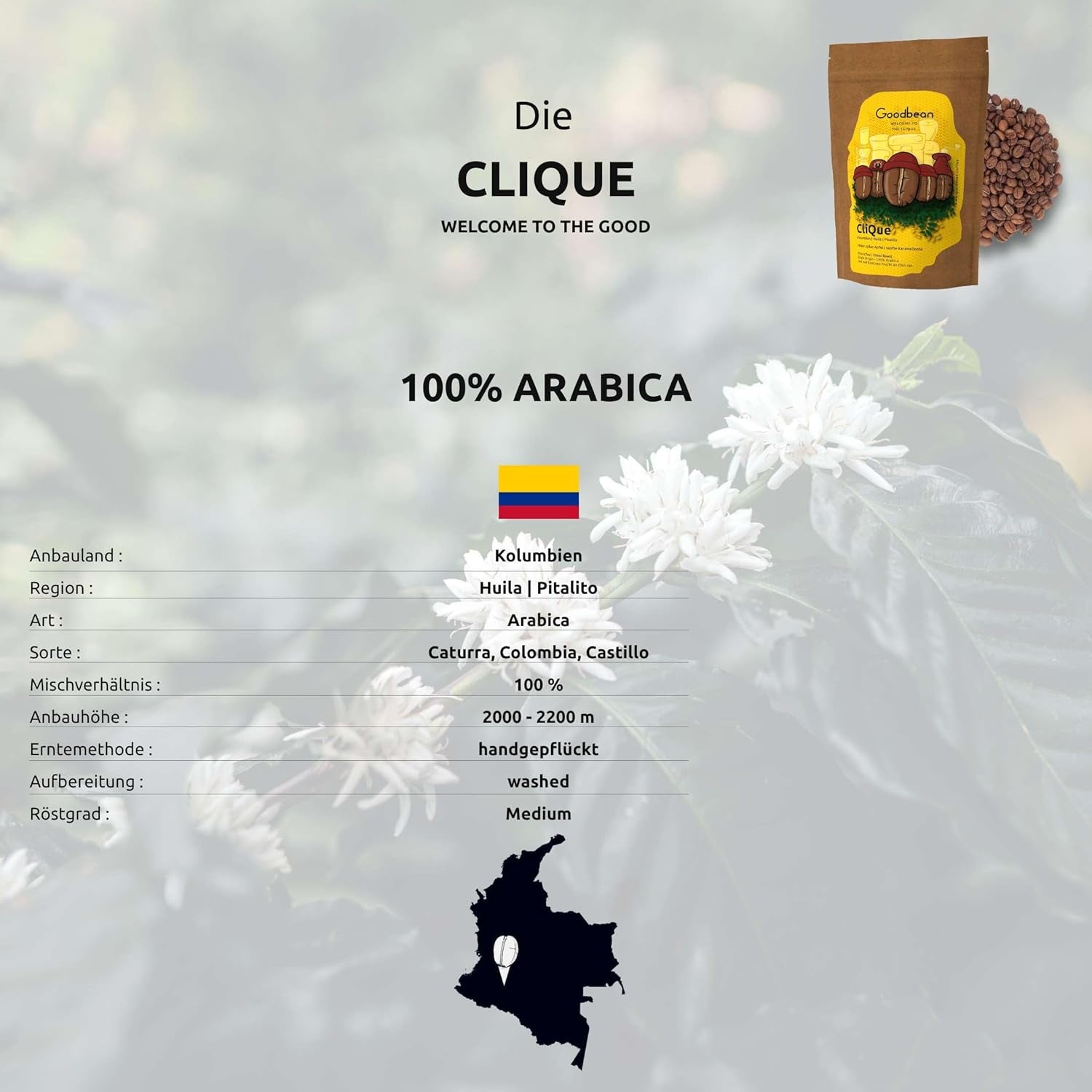Die Clique | Kaffee | Omni Roast - 100% Arabica | Filterkaffee/spritziger Espresso | ganze Bohne (500g)