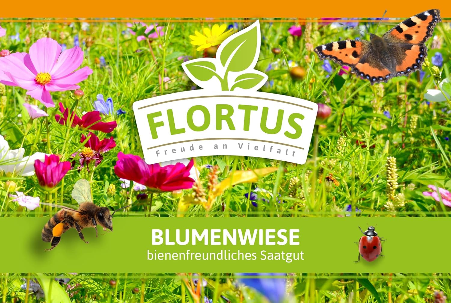 FLORTUS – Blumenwiese Saatgut Für Bienen, Hummeln & Schmetterlinge – 10 Liter Eimer Wildblumenwiese Samen Für 1.000-2.000 M² – Bunte Wildblumensamen Mischung Für Eine Insektenfreundliche Blumenwiese