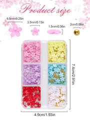 Kalolary Flori Nail Art Talismani, Flori Acrilice 3D pentru Unghii Ornamente Florale cu Cinci Petale Pietre Prețioase pentru Unghii Strasuri pentru Unghii Mărgele Metalice Mixte pentru Design Nail Art DIY Confecționarea Bijuteriilor (2 Cutii)