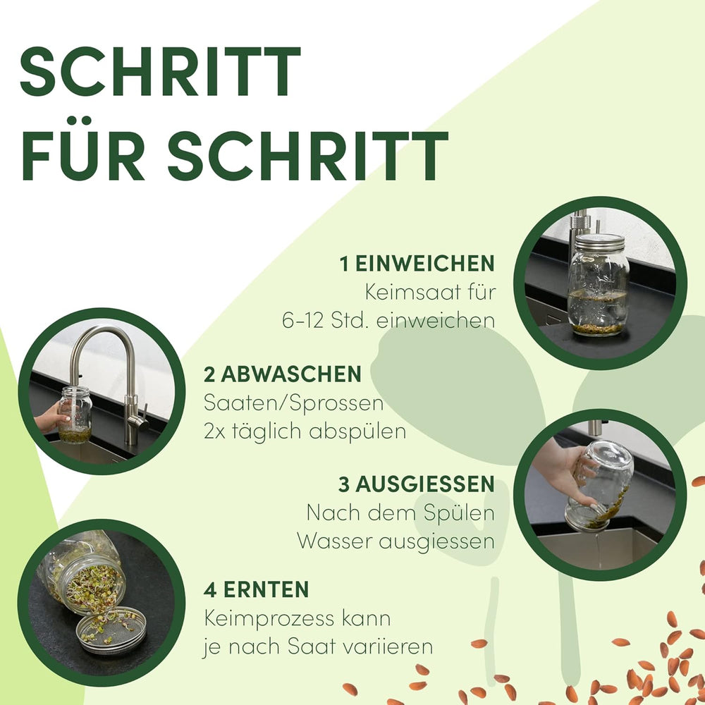 [Set original pentru începători cu borcan de germinare + sită pentru năsturel | 1000 ml cu capac din plasă din oțel inoxidabil de înaltă calitate, suport, tavă ceramică + ABC pentru germinare [Versiune tipărită] Tavă pentru răsaduri cu borcan de germinare