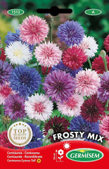 Floarea-de-Curțum FROSTY MIX EC1513 multicolor