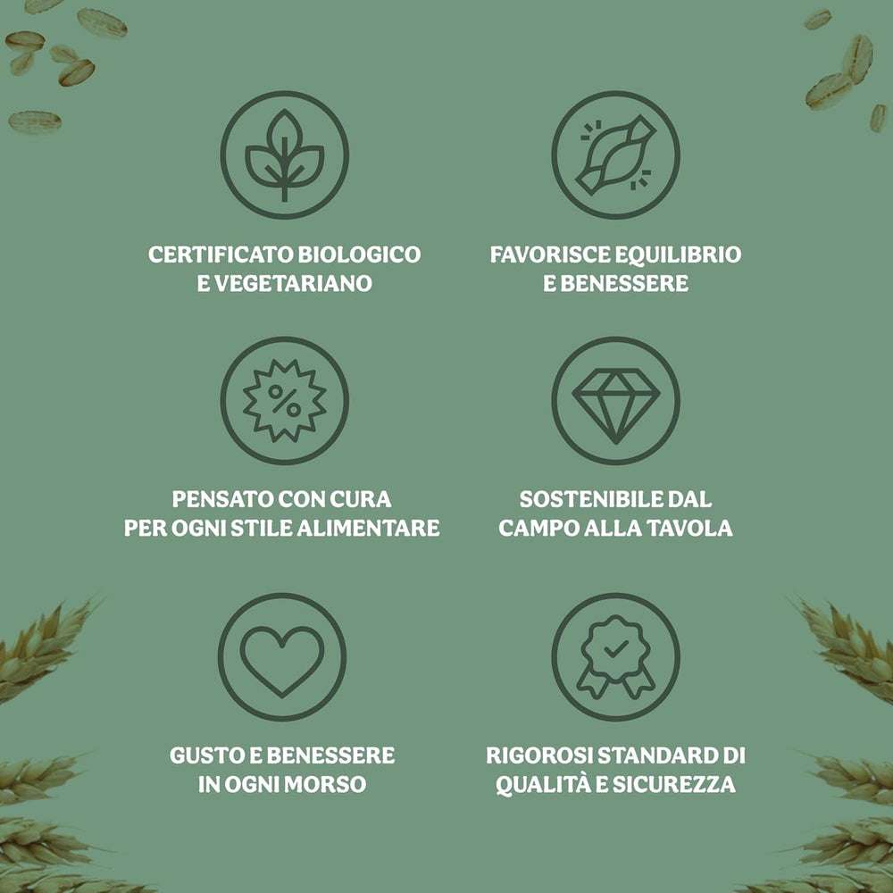 Fulgi de porumb organici ușori 500g la pachet