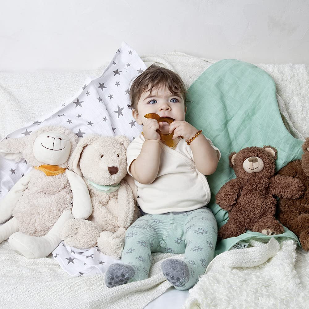 Inel de dentiție organic GRÜNSPECHT din cauciuc natural pentru bebelușii care își erup dentiția, masează gingiile, fără BPA, moale, promovează motricitatea fină, Broască țestoasă (639-V2), Maro