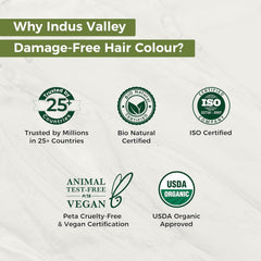 Indus Valley Natural Damage Free Gel Hair Colour | Fără amoniac, vegan și fără cruzime | Până la 100% acoperire gri, rezultate de lungă durată | Castaniu deschis 5.0 (20 gram + 200 ml) Vopsea pentru par Naty Shop