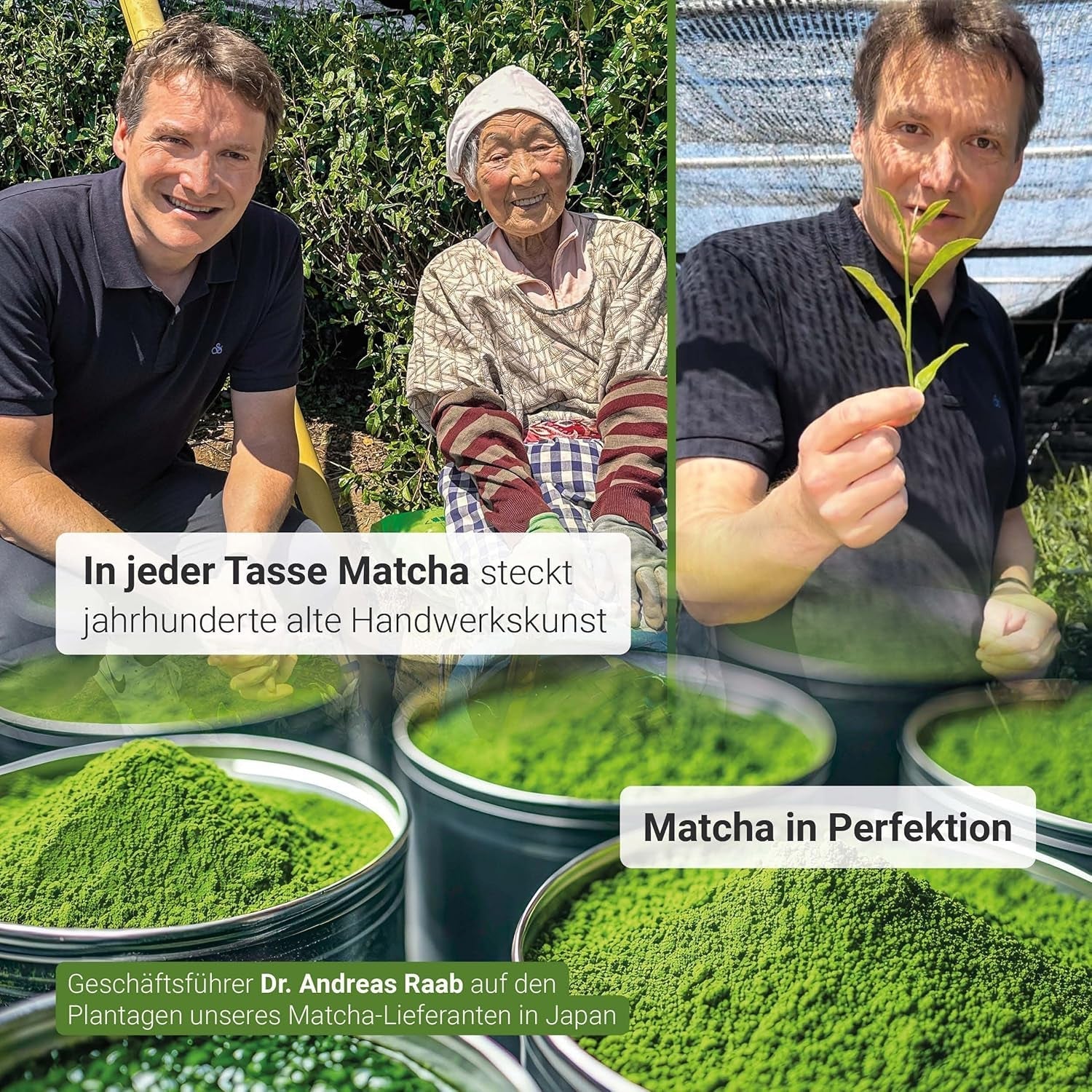 Raab Vitalfood® Pudră Matcha Premium Bio (30 g) - Original din Japonia, pudră Matcha pură fără aditivi, măcinată fin, gust fin-amar, pudră de ceai verde, vegan, ceremonie de ceai