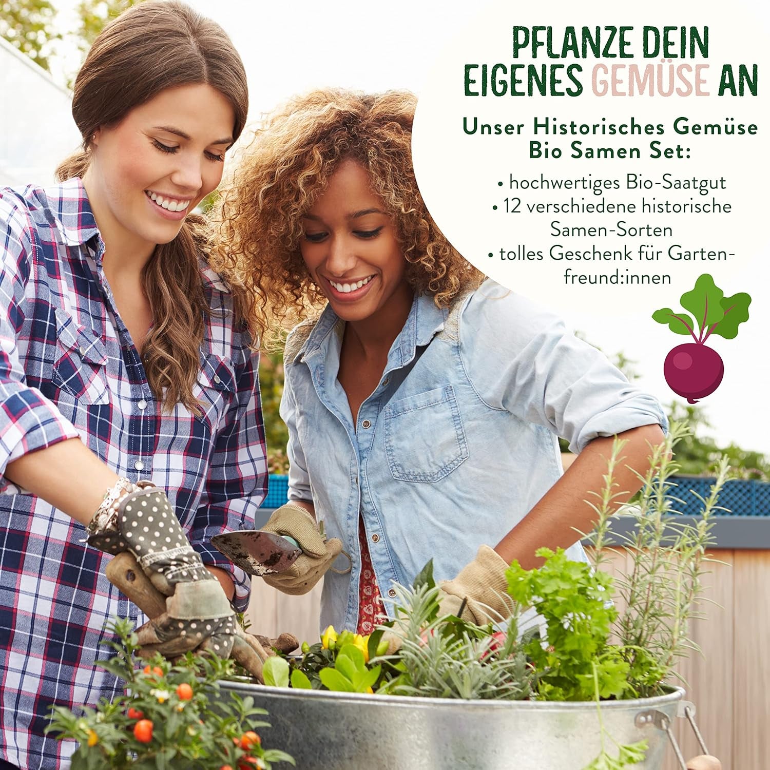 BIO Historisches Gemüse Samen Set I Seltene U. Alte Gemüsesorten Samen Im Gemüsesamen Set I Gemüse Anzuchtset I Samenfestes Saatgut I Samen Gemüse Als Gemüse Samen Set I Tolles Garten Geschenk