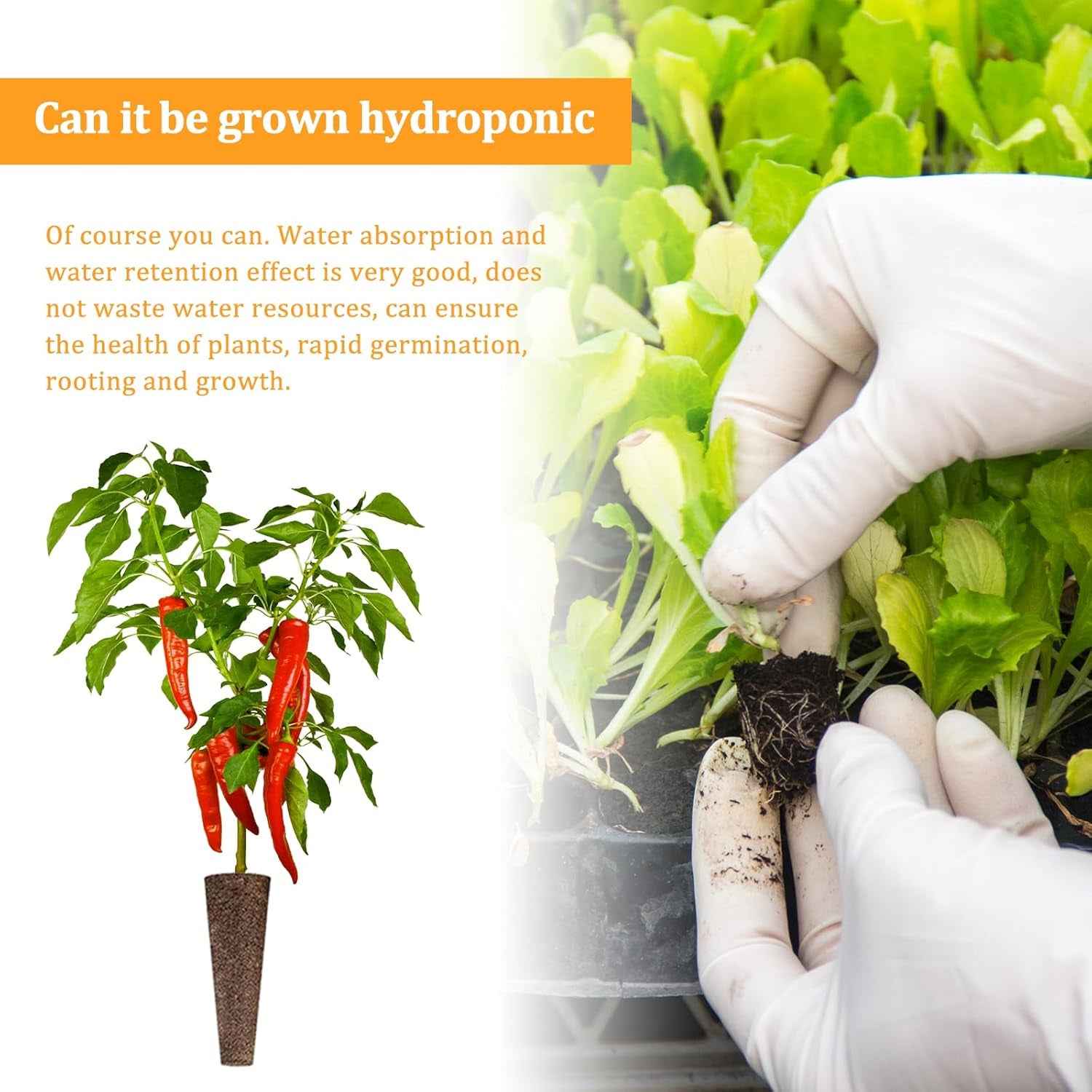 50 de bureți pentru creșterea hidroponică, bureți pentru răsaduri pentru hidroponie, dopuri de burete pentru creșterea rădăcinilor, potrivite pentru diverse tipuri de muguri, cum ar fi roșii, căpșuni, mentă