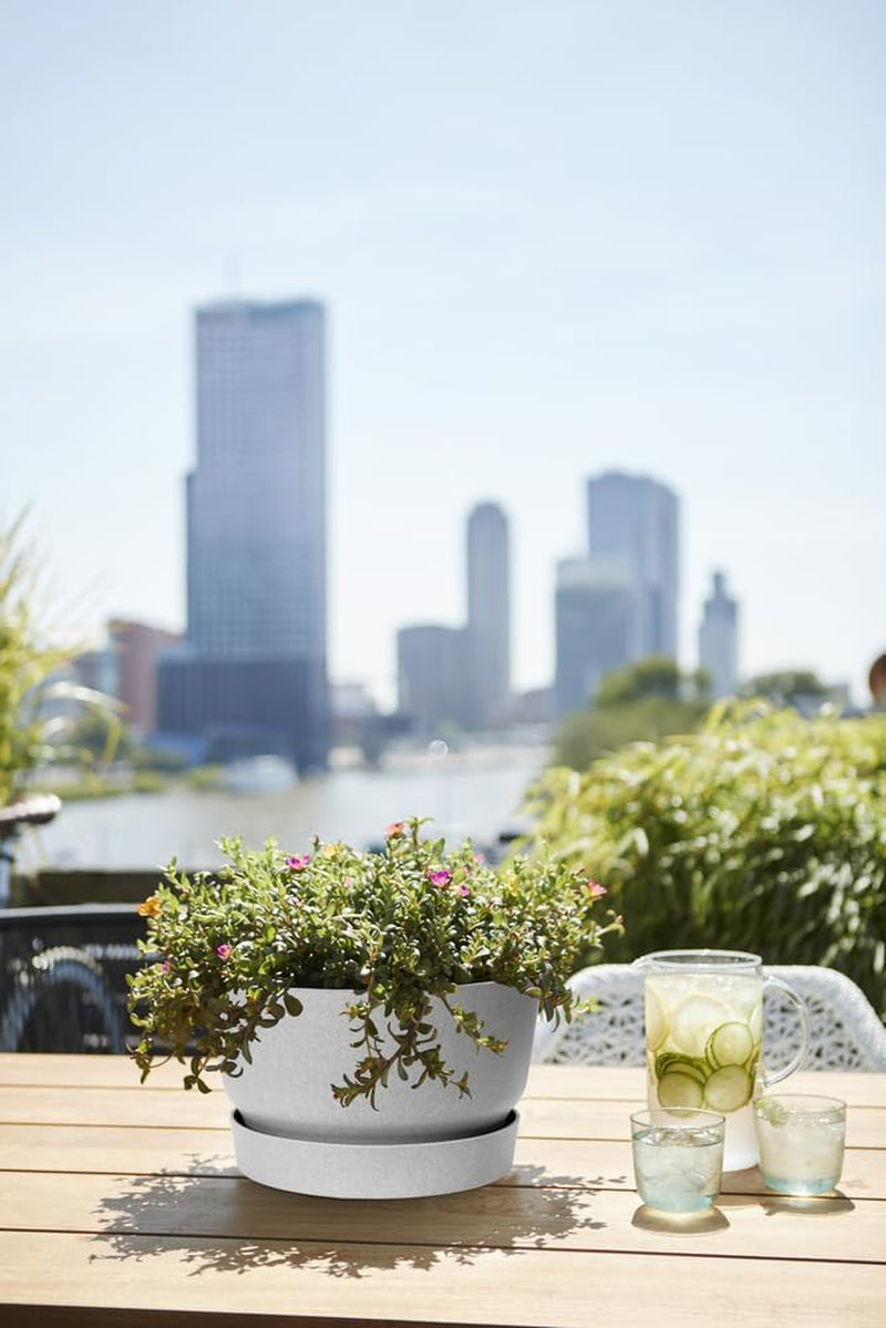 elho Greenville Bowl 33 - Ghiveci de flori pentru exterior - 100% plastic reciclat - Ø 32,5 x H 19,4 cm - Gri/Beton viu