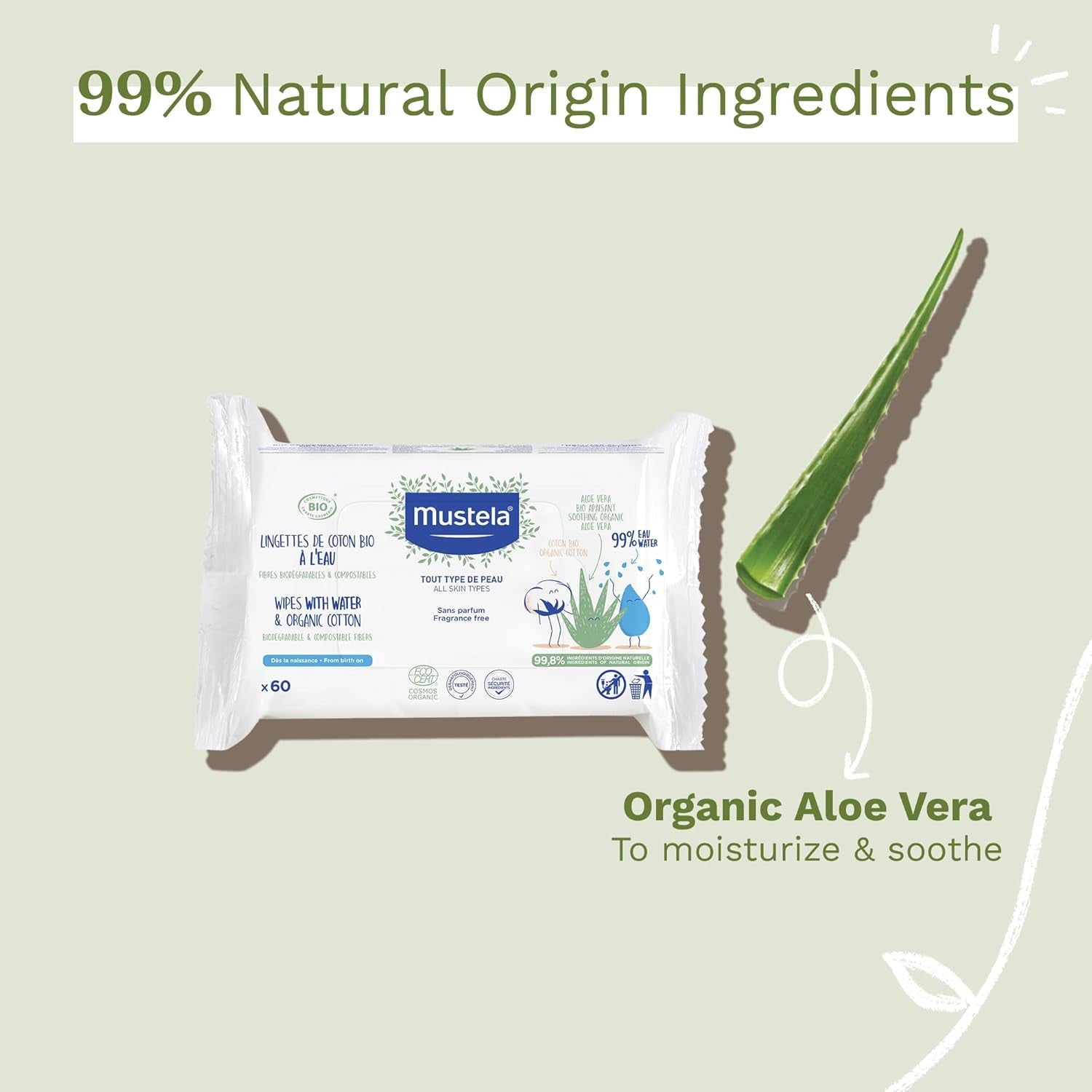 Lingette Coton À L'Eau 60 buc