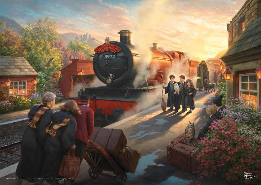 Lumea vrăjitorilor, Harry Potter Hogwarts Express Puzzle Naty Shop