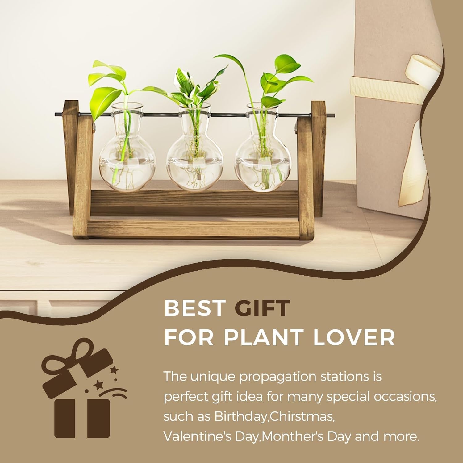 Stație de propagare hidroponică Bamworld cu suport din lemn – 3 vaze din sticlă pentru creșterea plantelor acvatice și decorarea casei