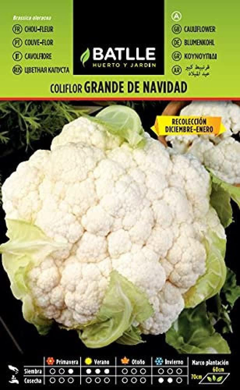 Batlle Gemüsesamen - Blumenkohl Dominant Weiss (1050 Samen)