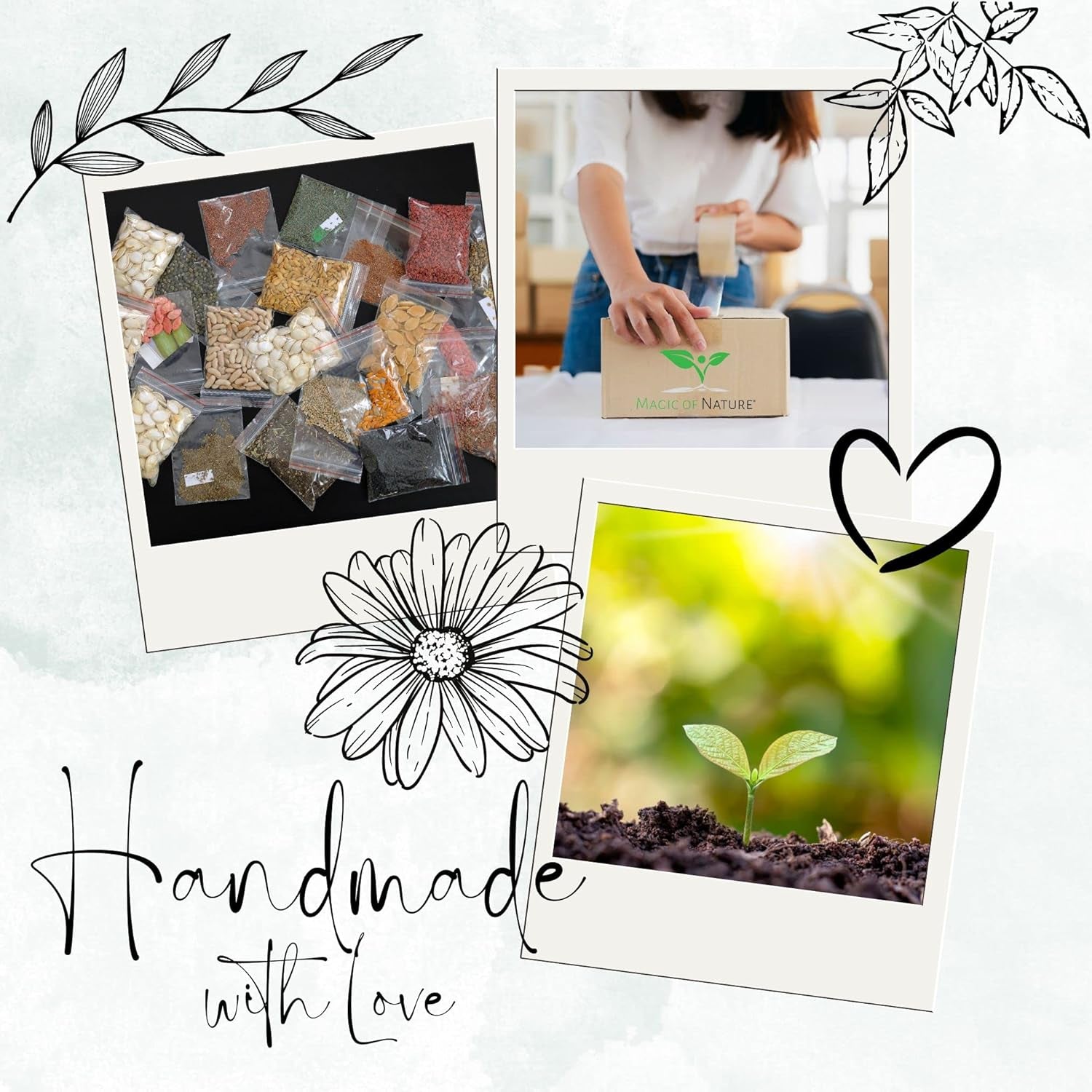 Magic of Nature Oma`s Küchenkräuter Box - Anzuchtset - 5 Sorten frische Kräuter Samen - Zum Selberzüchten oder zum Verschenken