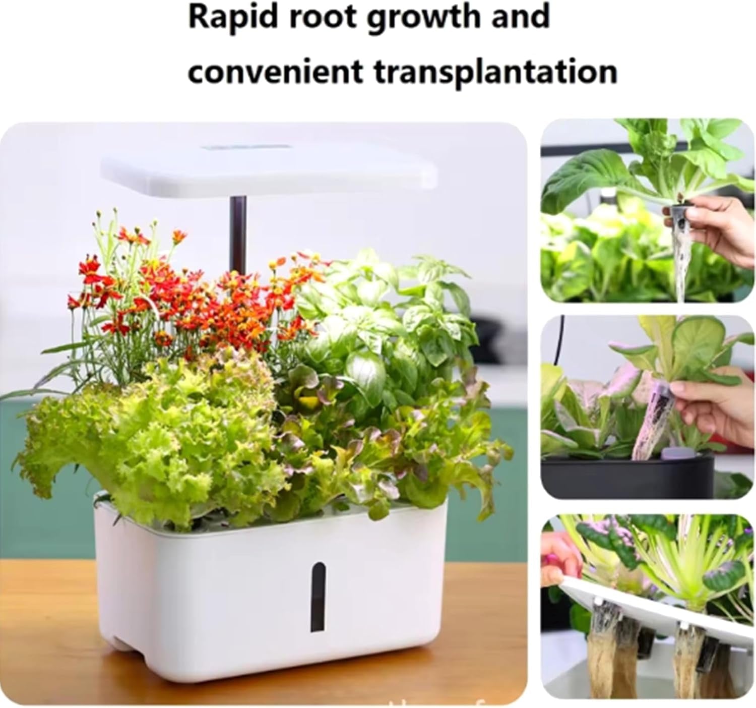 50 de bureți de creștere de schimb, tuburi pentru înființarea semințelor, dopuri de burete pentru creșterea rădăcinilor, kituri de creștere hidroponică pentru sisteme de creștere hidroponică, hidroponie de interior, grădină