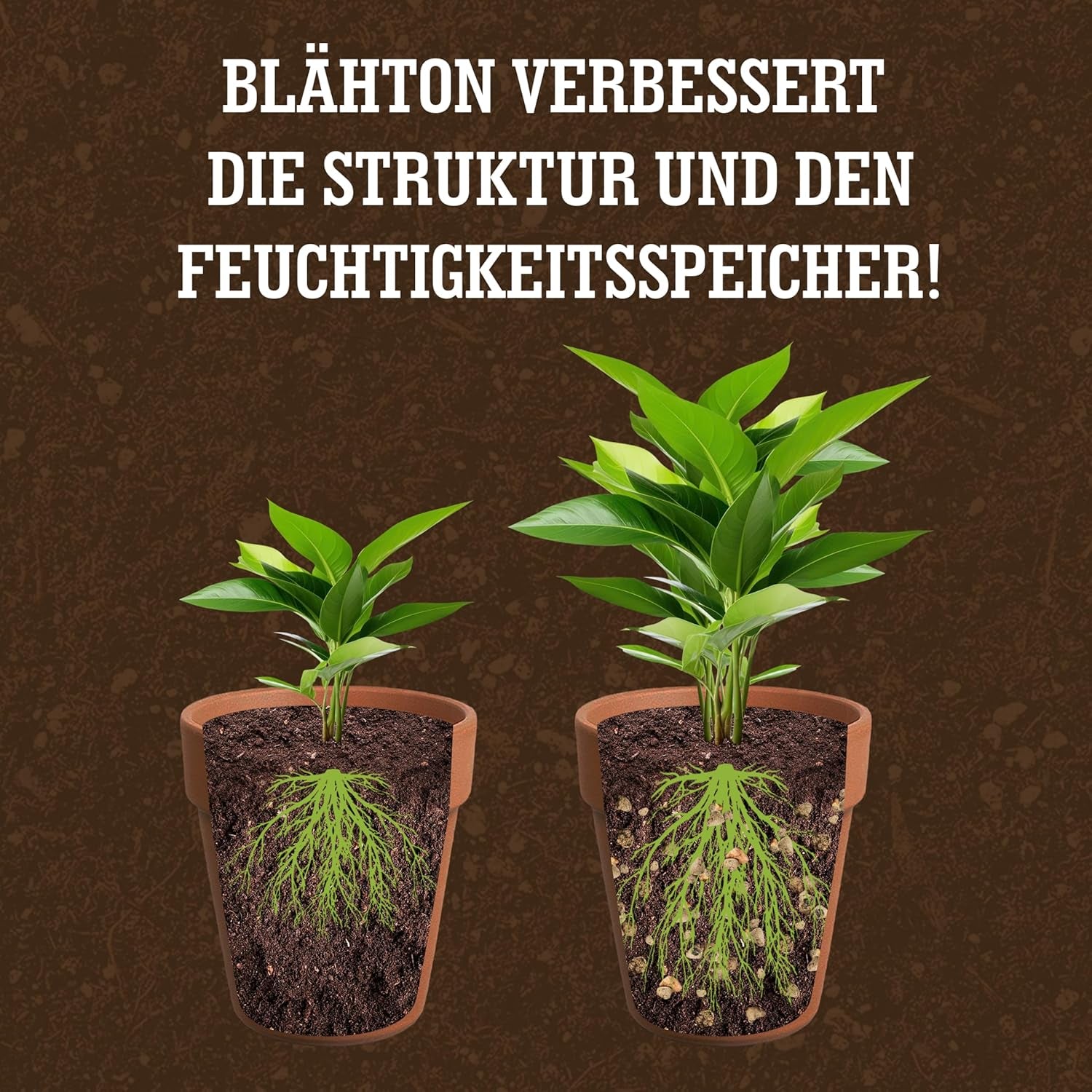 Argilă expandată LERAVA® (1L) – Granule de argilă pentru plante de apartament și hidroponie – Argilă vegetală cu pH neutru pentru drenaj optim – Ideală ca strat de drenaj sau granule de argilă decorative pentru plante