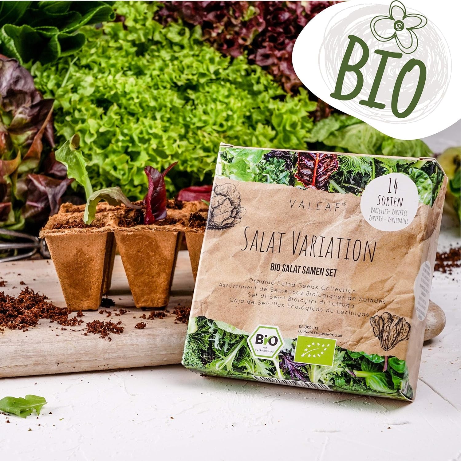 BIO Salat Samen Set - 14 Sorten Salatsamen Aus Biologischem Anbau I Samenfestes Salat Saatgut I Bio Salat Set Für Balkon, Garten Und Hochbeet I 14Er Saatgut Gemüse Inkl. Gemüsesamen Alte Sorten