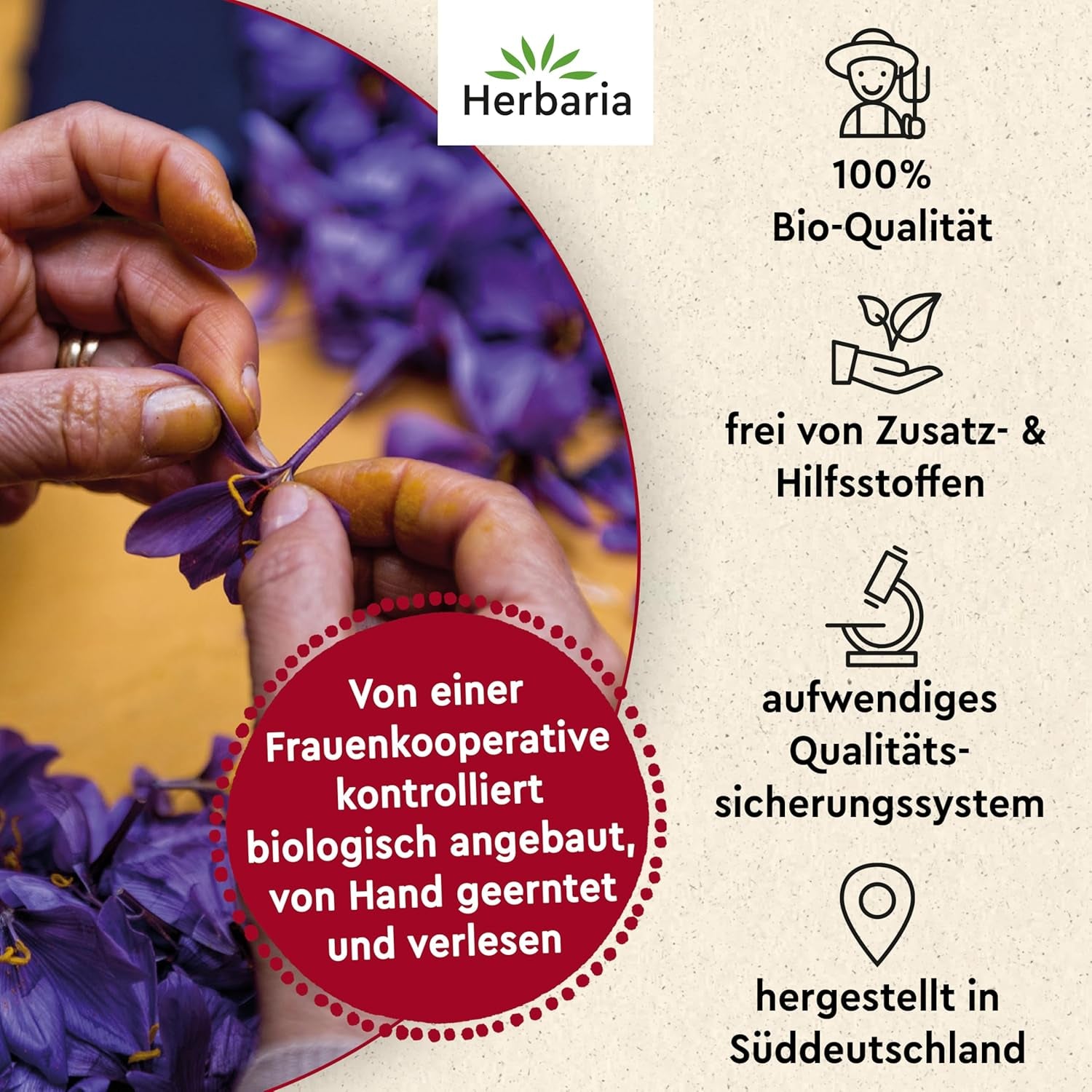 Herbaria Safran-Fäden bio 0,5g im Glas – Bio Safran-Fäden aus dem berühmten Safran-Ort Taliouine in Marokko – Safranfäden in Premium Bio-Qualität – Saffron Premium - Safran première catégorie