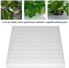 Burete hidroponic, 100 buc bureți hidroponici pentru creșterea semințelor, instrument de grădinărit pentru plante sau răsaduri cu muguri mici