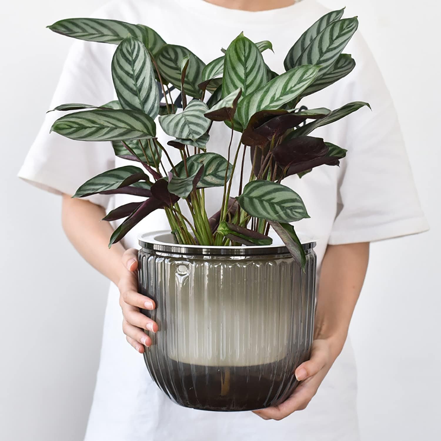 Set de 2 jardiniere suspendate cu auto-udare, ghivece de flori suspendate de interior de 16,5 cm cu 3 cârlige și găuri de drenaj pentru utilizare în interior și exterior, tavane, balcoane și decorațiuni de perete (gri)