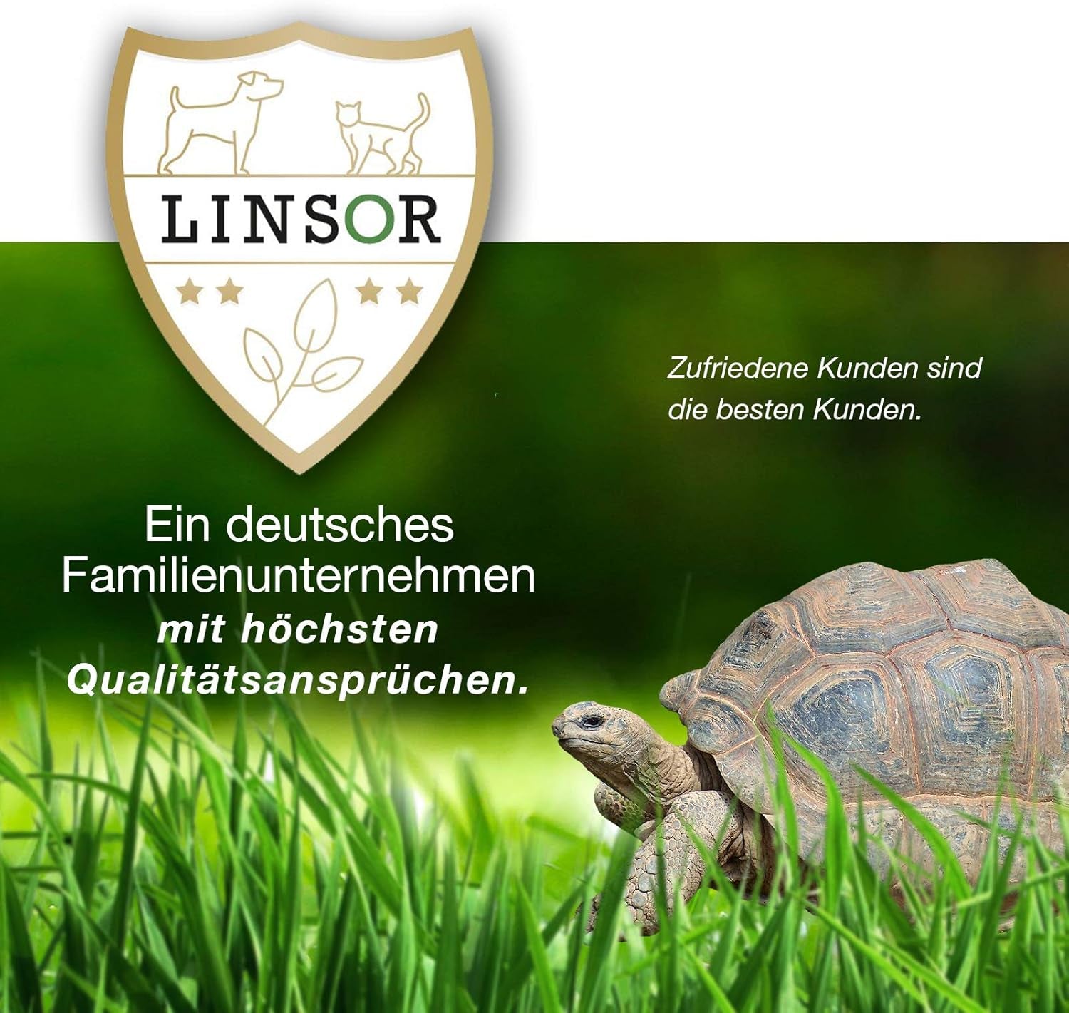 Kurzrasen, 1 Kg Rasensamen Schnellkeimend, 25% Weniger Mähen, Kurzwüchsige Gräsersorten