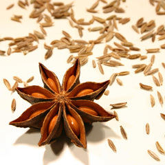 - Fünf Gewürze Pulver, (1 X 50 GR)