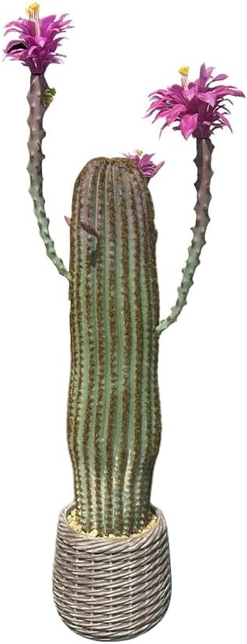 Künstlicher Kaktus, 91Cm Kunstpflanze Kaktuspflanzen Groß, Euphorbia Acrurensis Sehr Pflegeleicht, Kunstpflanze Im Topf Pflanzen Dekoration Für Zuhause Garten Büro Dekoration Einweihungsgeschenke - B