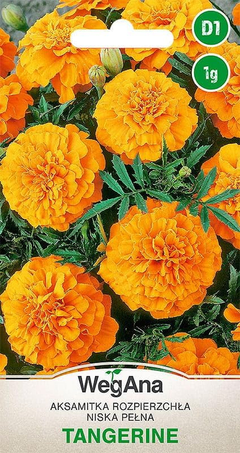 Semințe Cosmos Sensation Mix 1g, Mix Cosmos Flori de vară, Plante de grădină Plante de balcon, Semințe de flori