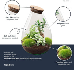 Urbanjngl - Drop XL Terrarium Grün - DIY Kit Für Pflanzen - Ø 24 Cm, Höhe 37 Cm - Inklusive Kork - Ideal Für EIN Nachhaltiges Ökosystem