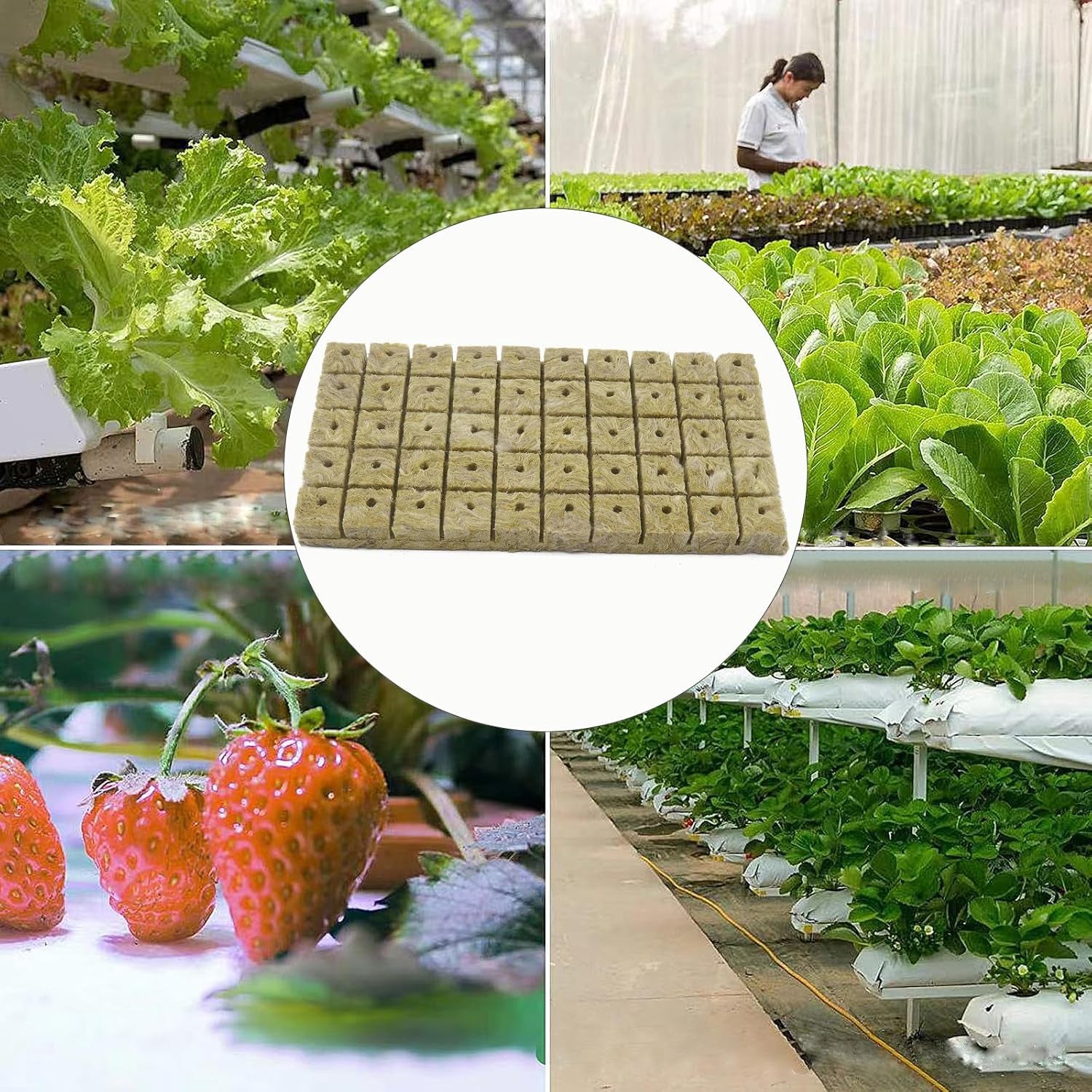 50 de bucăți de covoraș de creștere din vată minerală, cub de vată minerală, izolație din vată minerală, covoraș de creștere din vată minerală cu foarfece și mănuși pentru creștere fără sol, hidroponie și transplantare