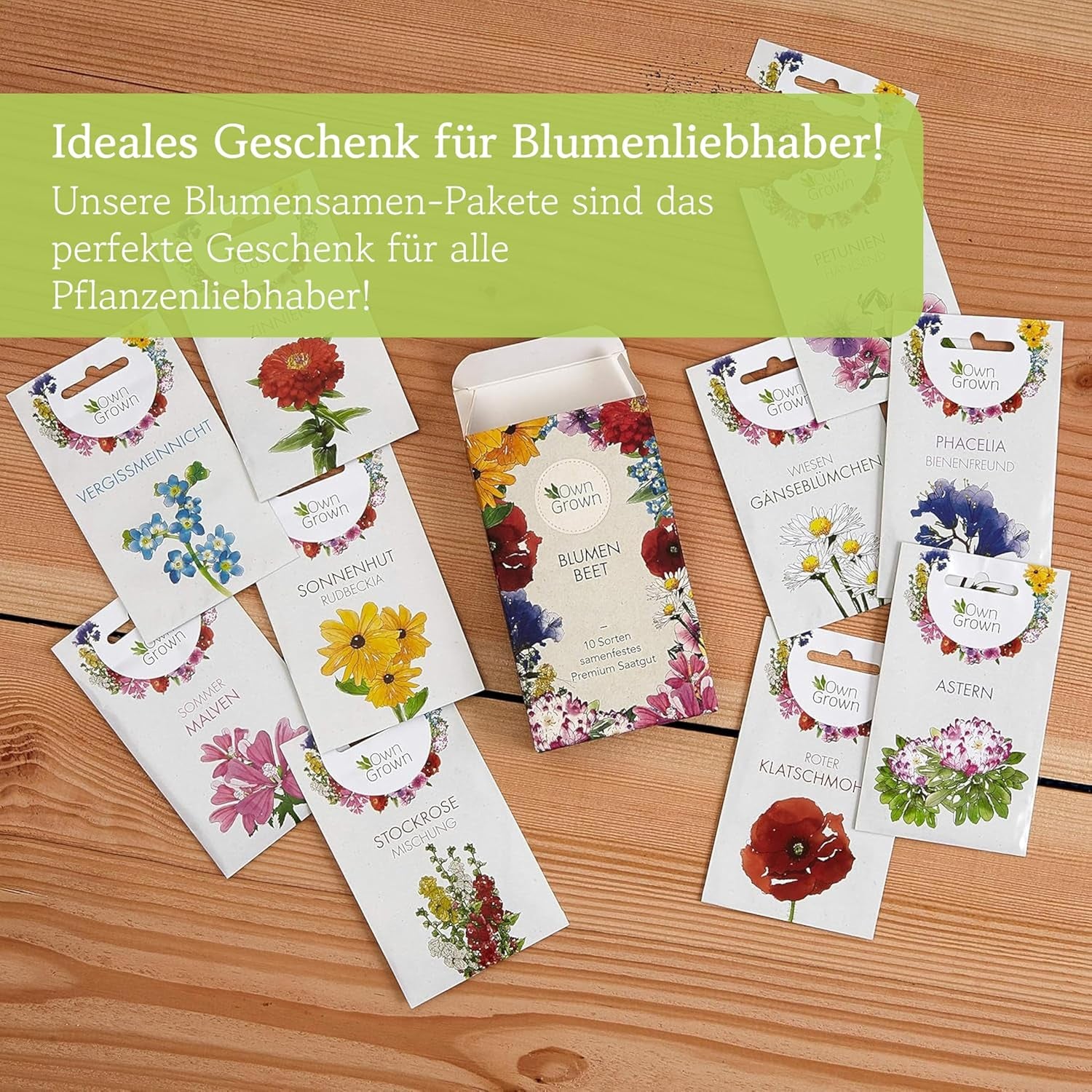 Semințe de Echinacea: Semințe de Echinacea galbene premium pentru aproximativ 20 de plante de Echinacea cu înflorire – Semințe de Rudbeckia – Rudbeckia rezistentă – Plante perene de Echinacea – Plante perene rezistente de la OwnGrown