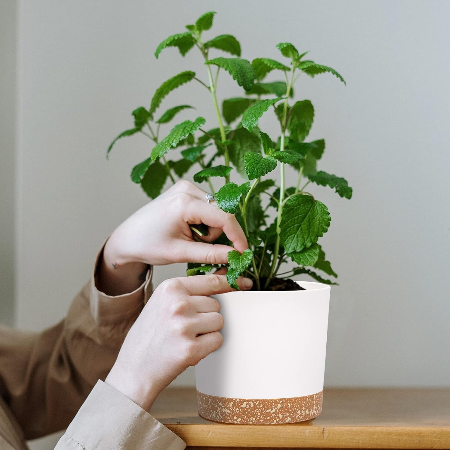 Ghiveci de flori set de 2 12,7 cm, ghivece pentru plante de interior cu găuri de drenaj și bază detașabilă, farfurioare decorative moderne pentru jardiniere de grădină de exterior (alb 12,7 cm)