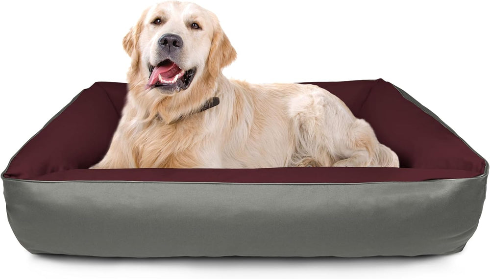 Paturi, animale de companie, câini, locuri de dormit și mobilier