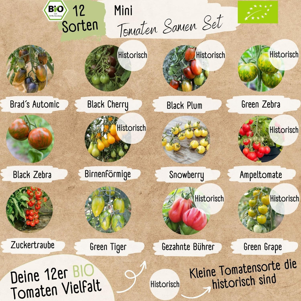 Set de semințe de roșii mini organice: 12 soiuri de roșii cultivate liber | Semințe de roșii cu roșii cocktail rare și de familie, cherry și beefsteak | Semințe de legume pentru balcon, pat înălțat, grădină și cadou | Loveplants