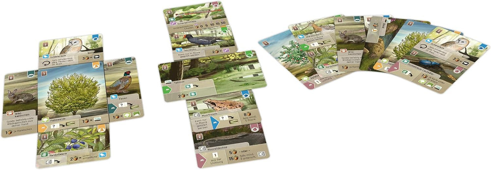 Lookout, Pădure mixtă: Dartmoor, Joc de bază, Joc de familie, Joc de cărți, 2-5 jucători, Vârste 10+, 60 de minute, Germană