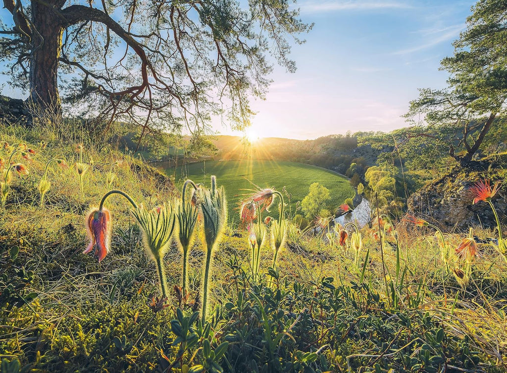 Ravensburger Puzzle - 4 Seasons - 4X 500 piese puzzle jigsaw pentru adulți și copii cu vârsta de peste 12 ani Puzzle Naty Shop