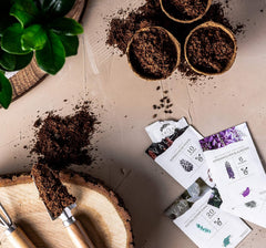 10 Semințe de Bonsai de pe 5 Continente | Semințe de Arbori Exotici pentru Bonsaiul Tău Unic | Kit de Începători și Pasionați de Plante | Setul Nostru de Bonsai ca Idee de Cadou Specială