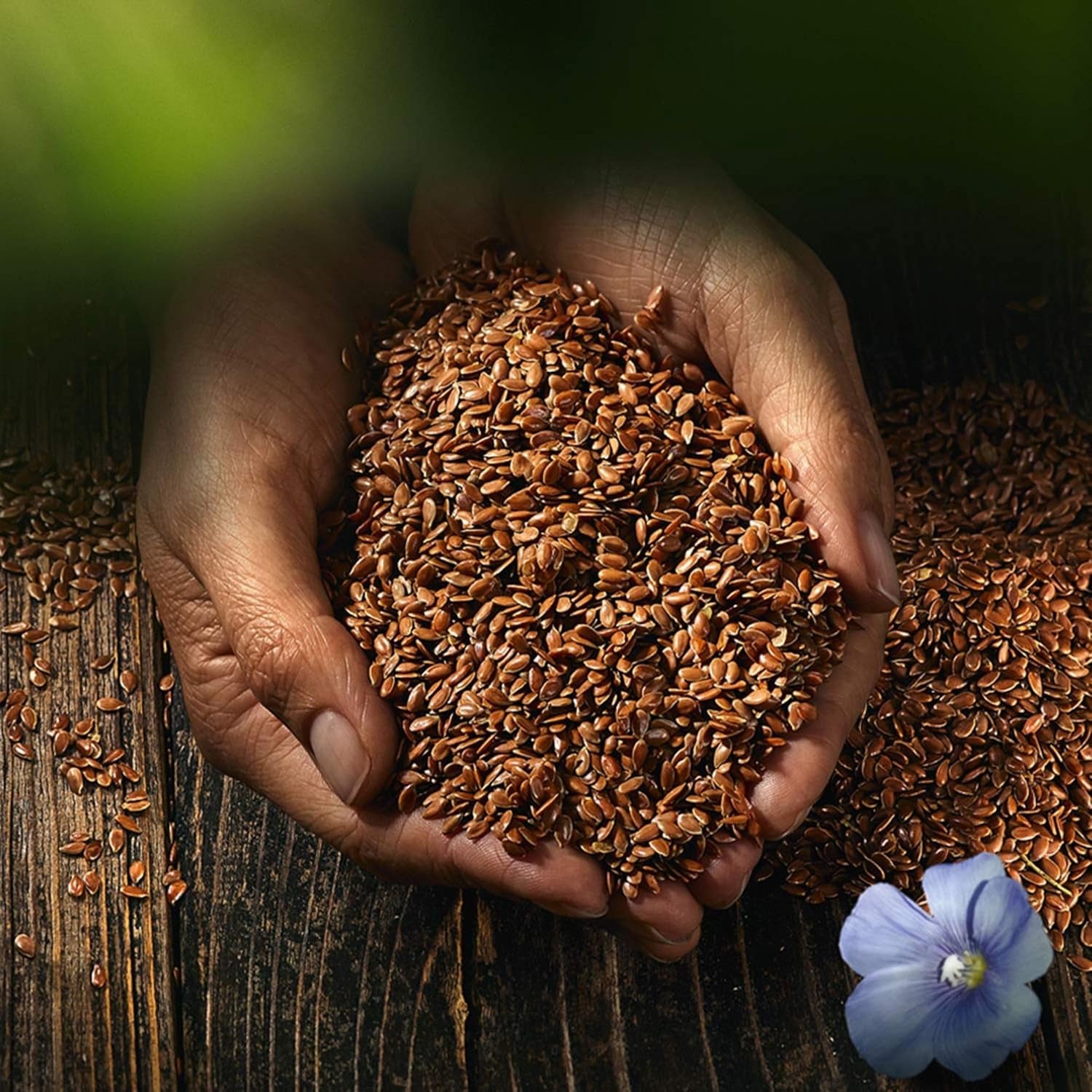 Semințe de in integrale Biozentrale | 7 x 400g semințe de in organice | Ideale pentru iaurt, musli și pâine | Alternativă la psyllium, semințe de cânepă și semințe de chia