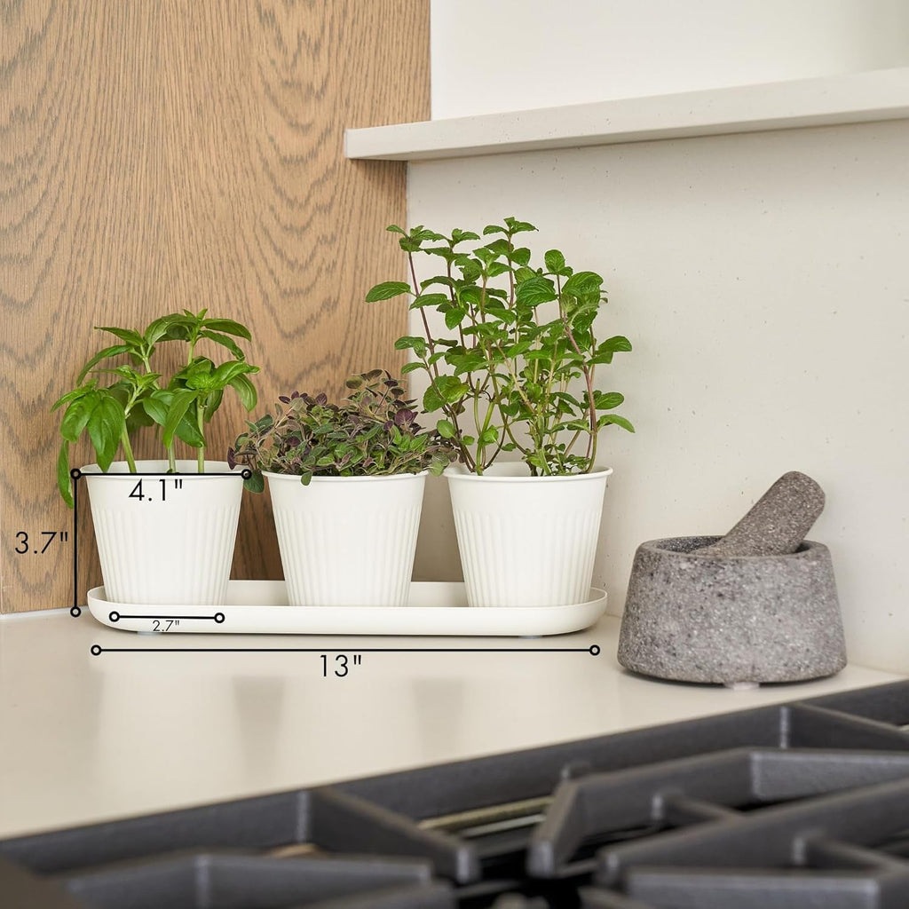 Set de 3 ghivece frumoase pentru grădină de plante aromatice, perfecte pentru orice pervaz sau blat de bucătărie, un set modern de ghivece decorative pentru grădină, inclusiv tavă și...