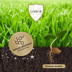 RSM 2.3 Sportrasen, Spielrasen, Trittfest, Robust, Dichte Grasnarbe, Alle Standorte, Regel Saatgut Mischung,2,5Kg Für 100M²