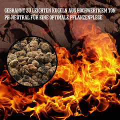 Argilă expandată LERAVA® (1L) – Granule de argilă pentru plante de apartament și hidroponie – Argilă vegetală cu pH neutru pentru drenaj optim – Ideală ca strat de drenaj sau granule de argilă decorative pentru plante
