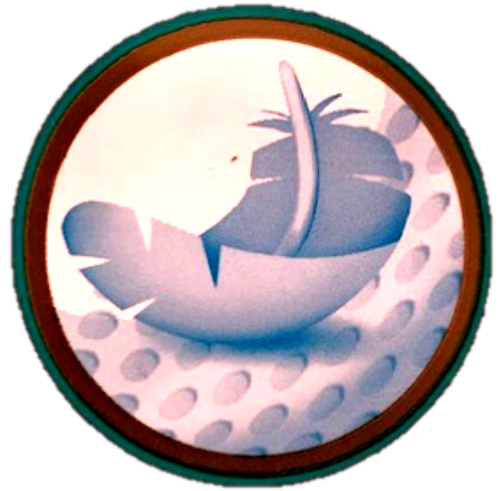 NOI 38 CHILOȚI PAMPERS PREMIUM CARE MĂRIME. 4,9-15 KG